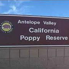 ANTELOPE VALLEY #3 ANTELOPE VALLEY #3